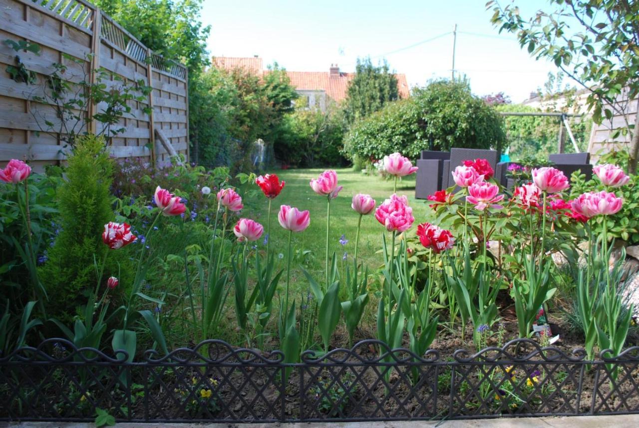 La Saint Martinoise Bed & Breakfast Exterior photo